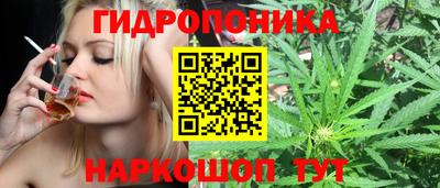 ешки Моздок