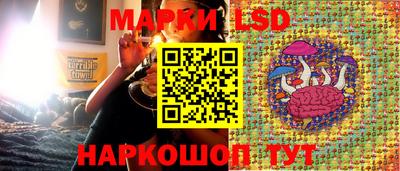 ешки Моздок