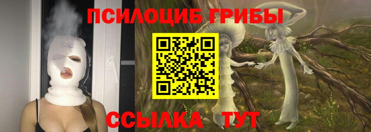 Галлюциногенные грибы ЛСД  Вход с VPN  Беслан  Галлюциногенные грибы Psilocybe 